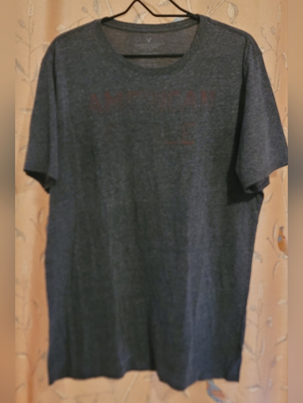 American Eagle Outfitters Men’s Dark Gray Crew Neck T-Shirt